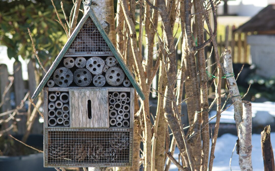 Insectenhotel maken!